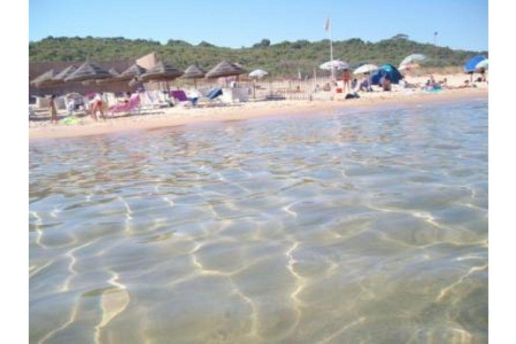 La Stanza Vicino Al Mare , Una Camera Da Letto E Bagno Con Balcone Vista Mare Daire Balestrate Dış mekan fotoğraf